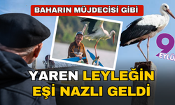 Yaren leyleğin eşi Nazlı yuvasına geldi!