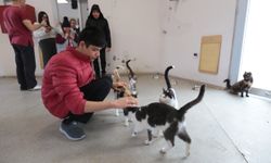 Konak’ta engelsiz yürekler patili dostlarla bir araya geldi