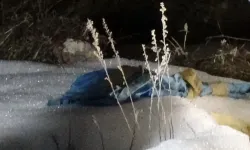 Mezarlıkta dehşete düşüren manzara