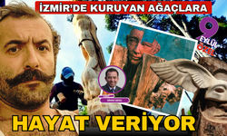 Kuruyan ve zarar gören ağaçlara sanatla hayat veriyor
