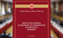 TBMM resmi sitesinde Çözüm sürecine ilişkin rapor yayımlandı