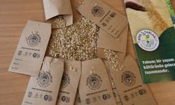 Efes Selçuk'un ata tohumları Türkiye'nin dört bir yanında toprakla buluşuyor