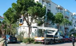 Karşıyaka’da budama seferberliği: Bahar öncesi yeşil alarm