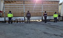 İzmir’de 500 bin paket kaçak sigara ele geçirildi
