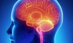 Ünlü yapımcı Erol Köse’nin vefatı ALS hastalığını gündeme taşıdı: Kesin tedavi henüz yok