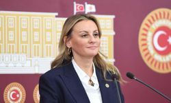 CHP’li Ösen’den 20,5 milyon metrekarelik orman tahsisine sert tepki!