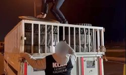 Kemalpaşa’da kaçak sigara operasyonu