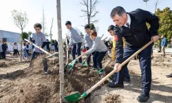Mikro orman projesine görkemli açılış