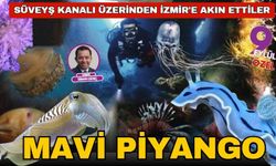 Süveyş Kanalı üzerinde İzmir'e akın ettiler