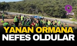 Kemalpaşa'da küllerinden doğan orman: Öğrenciler yanan bölgeye nefes oldu