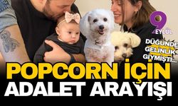 Düğünde gelinlik giydirdikleri can dostları Popcorn için adalet arıyorlar