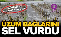 Gediz Nehri taştı, Manisa bağlarını su bastı: Kök çürümesi ve hastalık riski kapıda!