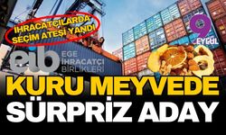 İhracatçılarda seçim ateşi yandı: Kuru meyvede sürpriz aday