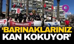 'Barınaklarınız kan kokuyor'