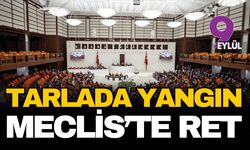 Tarlada yangın, Meclis'te ret