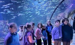 İzmirli öğrenciler deniz ekosistemini akvaryumda keşfetti