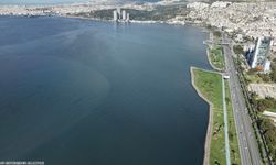 Körfez için uluslararası seferberlik: Dünya bilim insanları İzmir’de çözüm arayacak