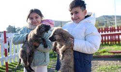 On binlerce cana dokunan seferberlik: İzmir’de “Tek Sağlık” hamlesi