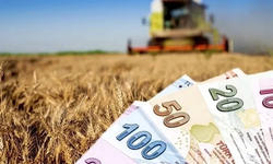 Tarımda yeni destek paketi: Planlı üretim yapan çiftçiye mazot ücretsiz