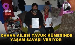 Cahan Ailesi Tavuk Kümesinde Yaşam Savaşı Veriyor