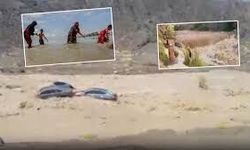 Körfez’de sel felaketi: Çok sayıda ölü!