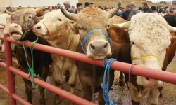 Kurban Bayramı 2026 için geri sayım başladı: Tatil 9 gün olacak mı?