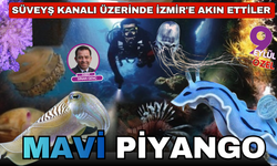 Süveyş Kanalı üzerinde İzmir'e akın ettiler