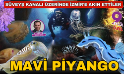 Süveyş Kanalı üzerinde İzmir'e akın ettiler