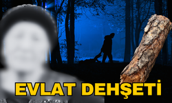 Aydın'da annesini odunla öldürdüğü iddia edilen kişi tutuklandı