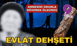 Aydın'da annesini odunla öldürdüğü iddia edilen kişi tutuklandı