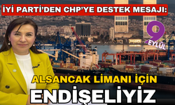 CHP'ye İYİ Parti'den 'Alsancak Limanı' desteği: Biz de endişeliyiz!
