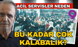 Acillerdeki yoğunluğun nedeni ne?  Prof.Dr. Mehmet Ceyhan yanıtladı