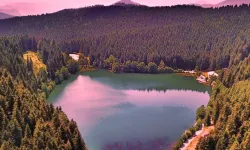 Doğayı koruma yasası Resmi Gazete'de