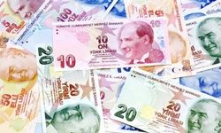 "Yeni banknotlarda Atatürk resminin kaldırıldığı" iddiası: DMM'den açıklama
