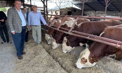 Et ithalatında tablo ağır: Vatandaş alamıyor, üretici dayanamıyor