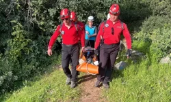 Ormanda acı dolu anlar! Kurtarıldı