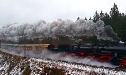 Buharlı trenler yıllardır çürüyor