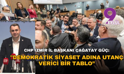 Güç: "Demokratik siyaset adına utanç verici bir tablo”