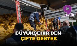 İzmir Büyükşehir’den çifte destek: 300 ton patates 60 bin haneye ulaştırılıyor