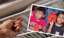 Saklambaç facia ile bitti: Çocuklar dondurucuda öldü