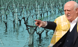 İzmir'de tarım arazileri su altında