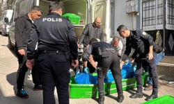 14 yaşındaki kız, babasını öldürdü