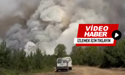 Korkutan orman yangını