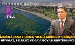 İzmirli Sanayiciden ‘Deniz Marulu’ çağrısı: Biyogaz, selüloz ve gıda boyası üretebiliriz