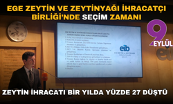 "Zeytin ihracatı bir yılda yüzde 27 düştü"
