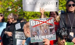 Hayvanseverlerden barınaklara karşı protesto