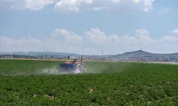 Gübrede vergi sıfırlandı: İki üründe yeni düzenleme