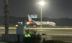 Havada panik! Acil iniş yaptılar