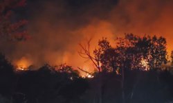 Yaz gelmeden başladı! Saatlerdir yanıyor