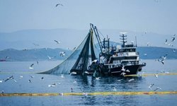 Denizlerde mola zamanı: 15 Nisan itibarıyla büyük gırgır ve trol teknelerine av yasağı başlıyor
